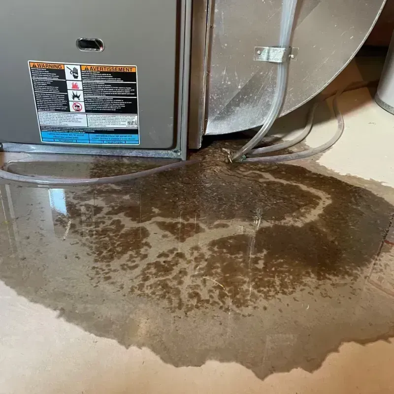 Appliance Leak Cleanup in Crowell, TX